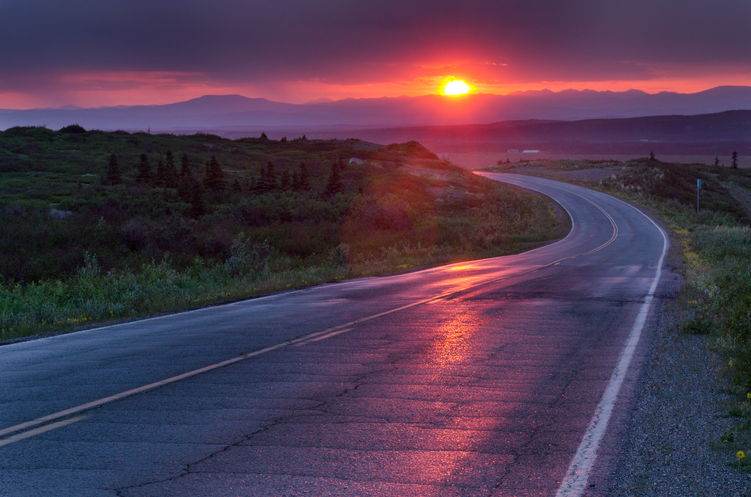 3 A.M. Summer Sunrise