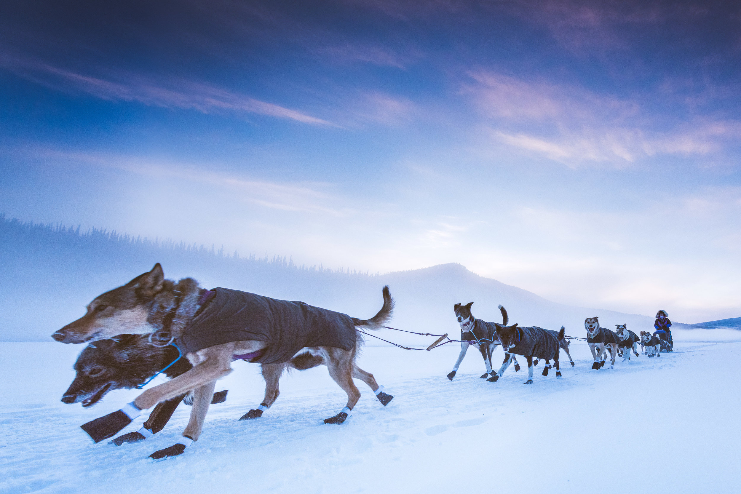 ChanceMcLarenPhotography_Jessie Royer-Leaving_Dawson City_Yukon Quest 2017.jpg