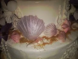 Delicate shells