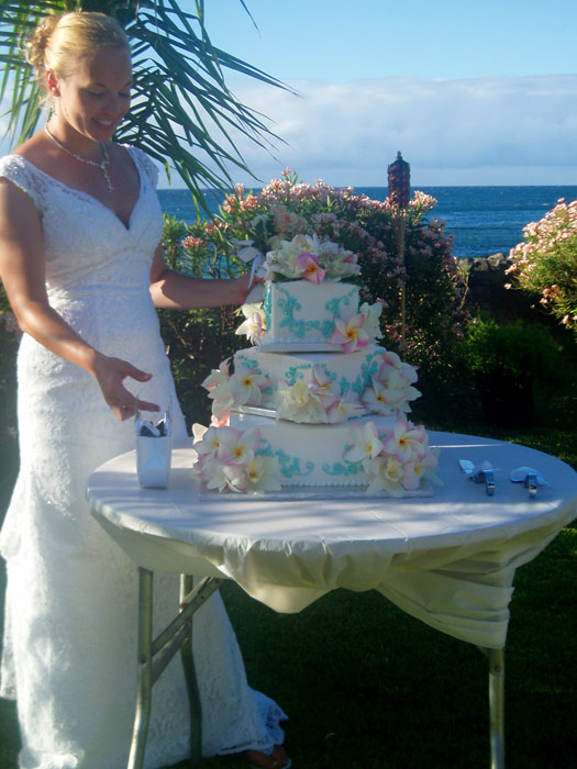 bride4.jpg