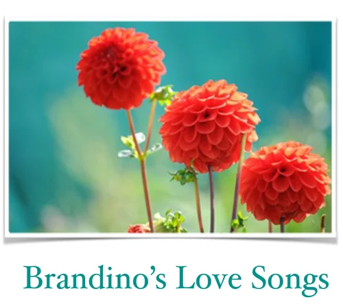 Brandino's Love Songs-1.jpg