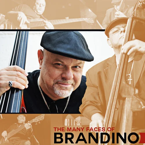 The-Many-Faces-of-Brandino-cover copy.jpg