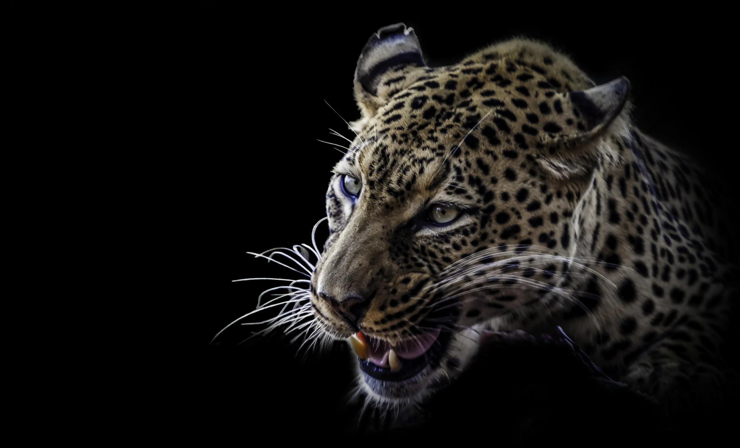 IMG_9910-Edit.jpg