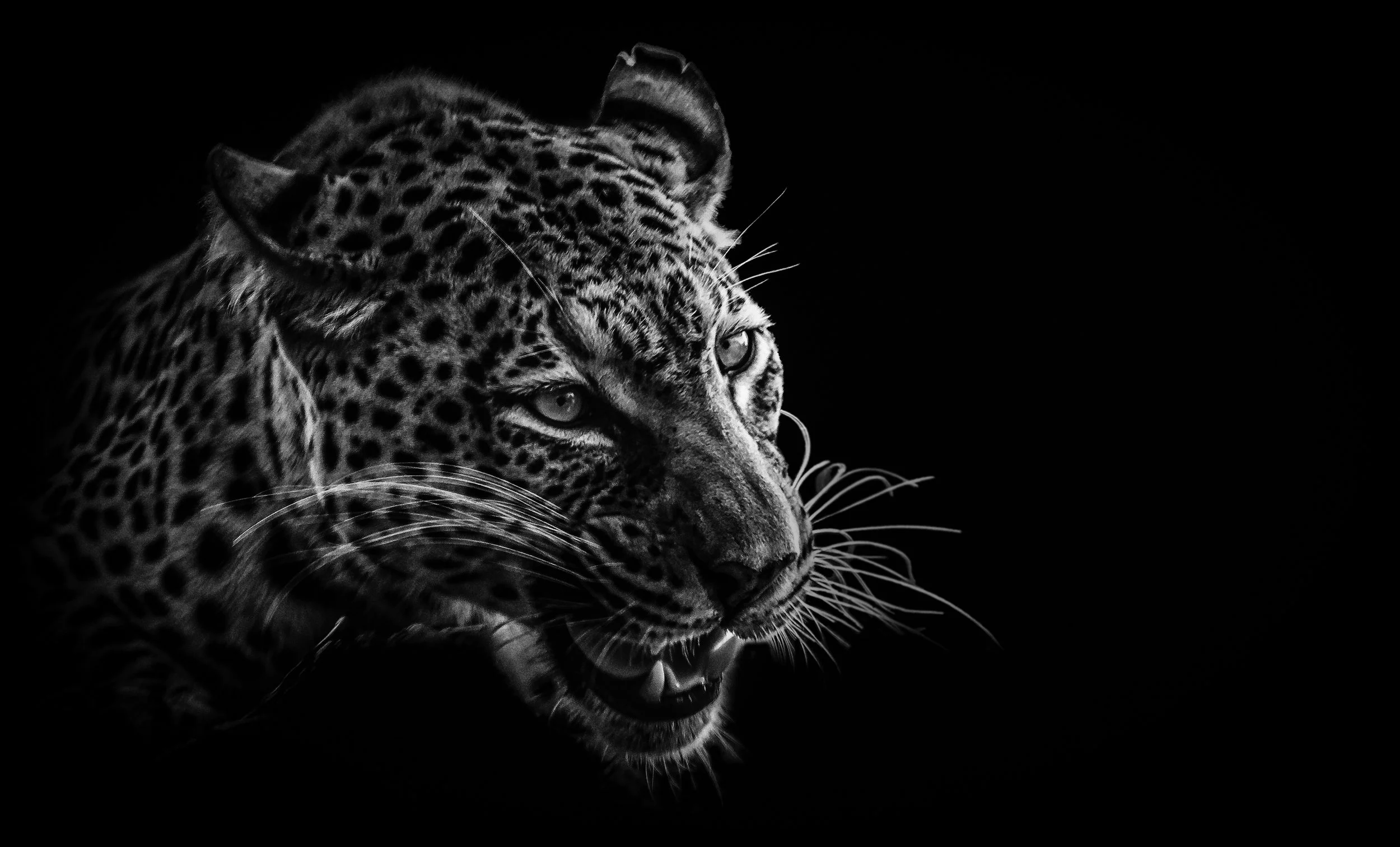 IMG_9910-Edit-Edit.jpg