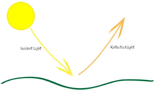 lightgraph.jpg