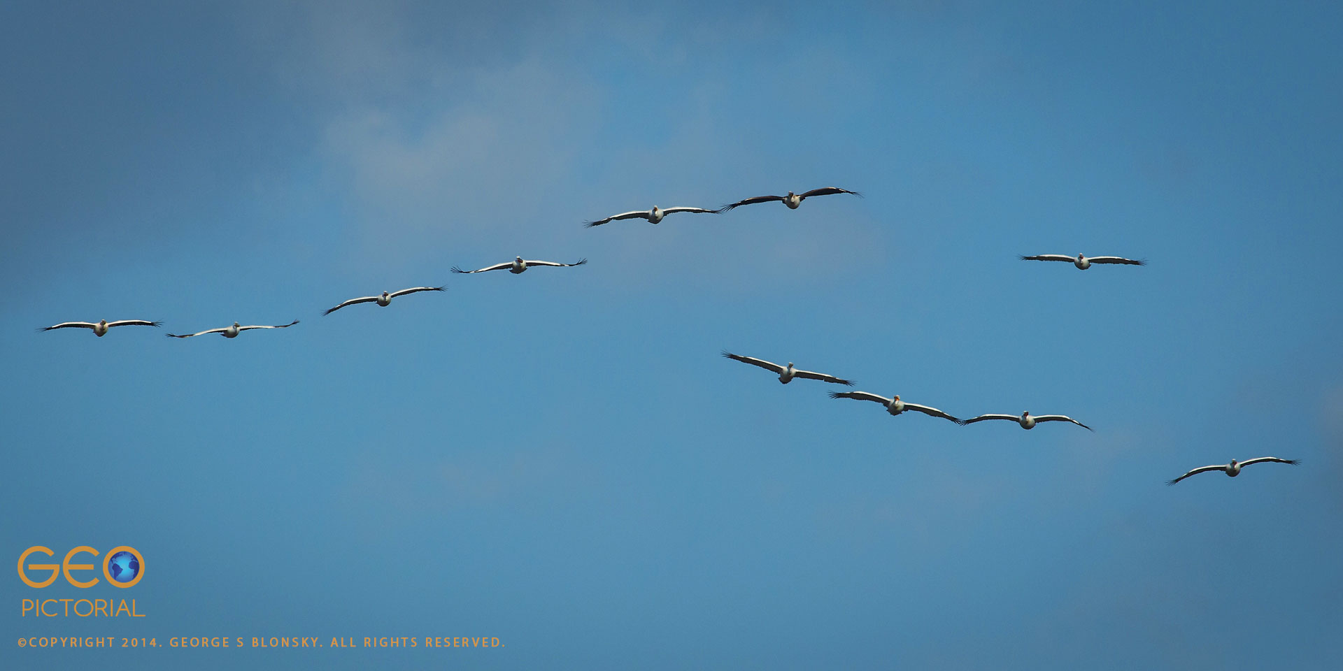 20141218_G8A9368.jpg