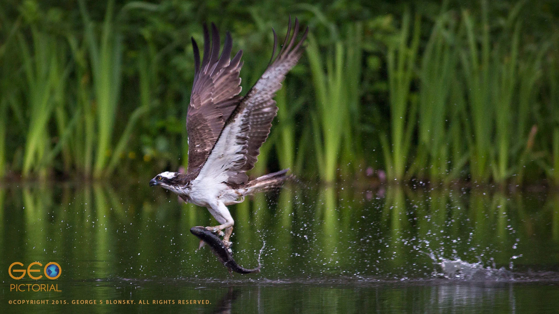 20150723_G8A6335.jpg