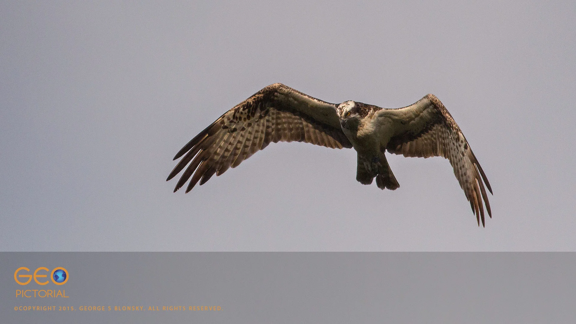 20150723_G8A6384.jpg