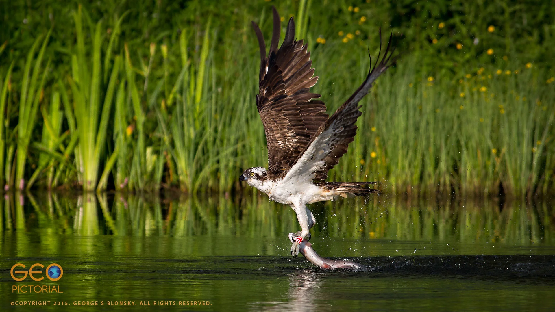 20150723_G8A6398.jpg