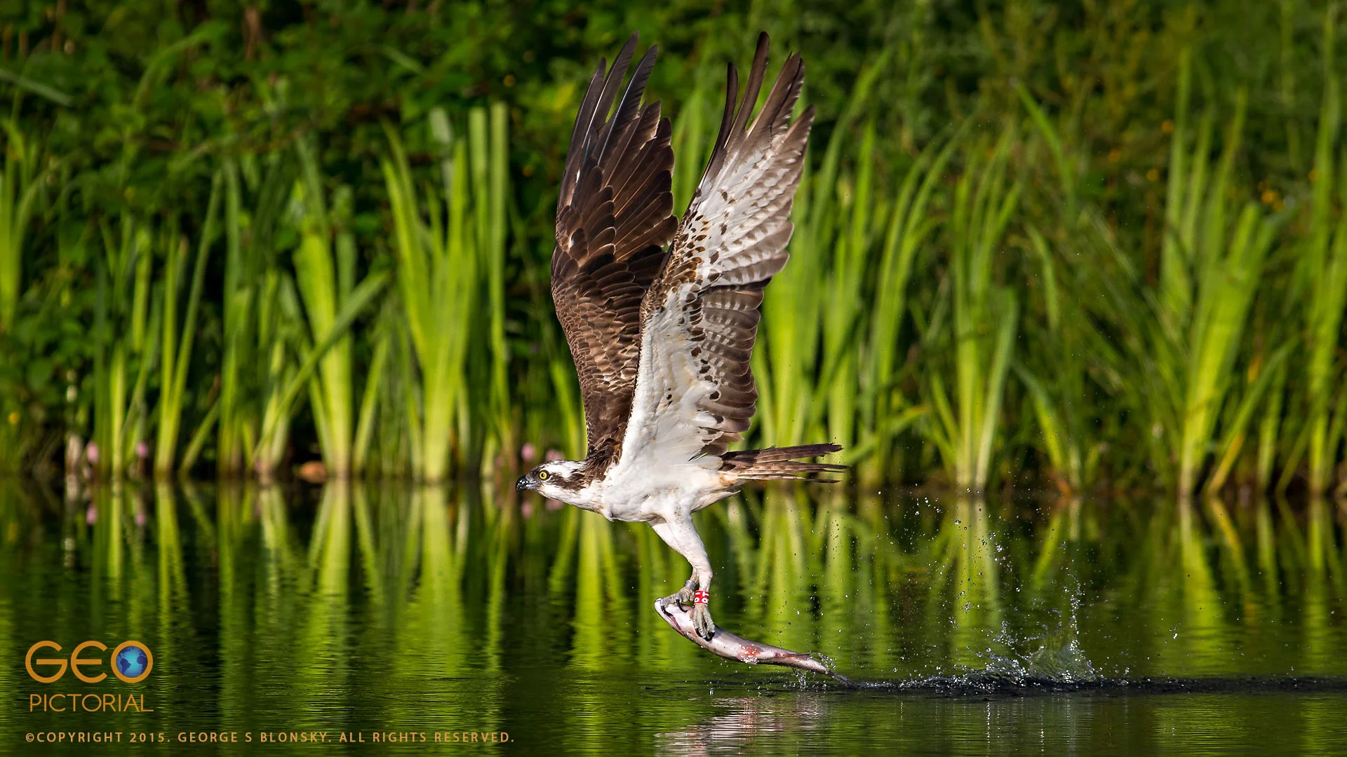 20150723_G8A6400.jpg