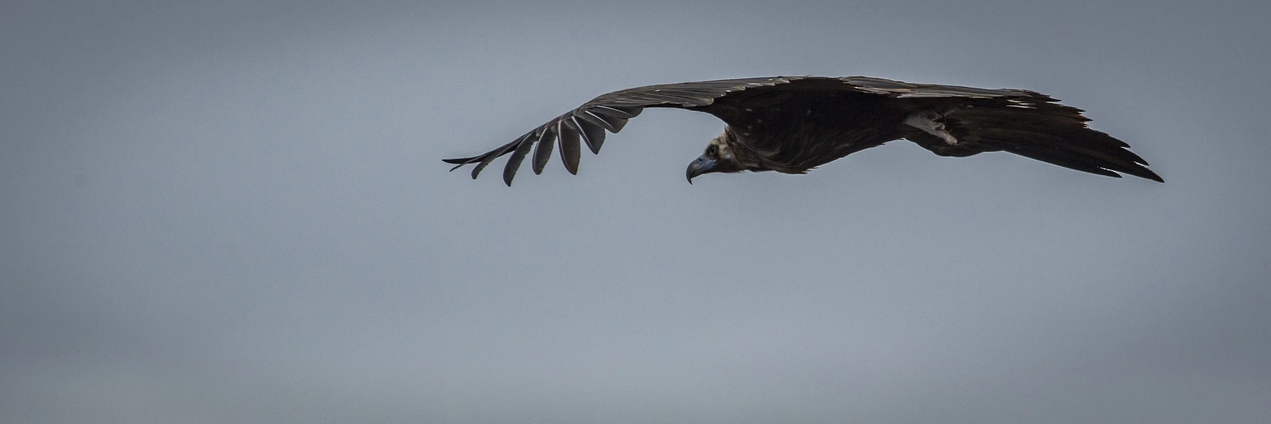 20150403_G8A7472.jpg