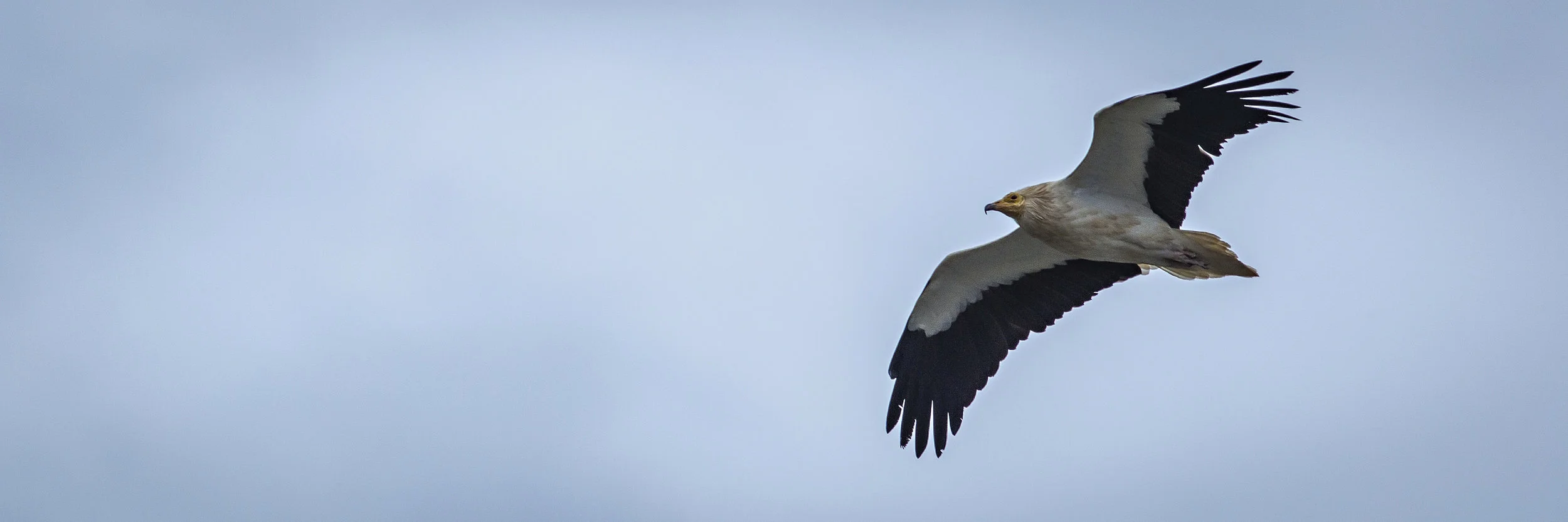 20150403_G8A7552.jpg
