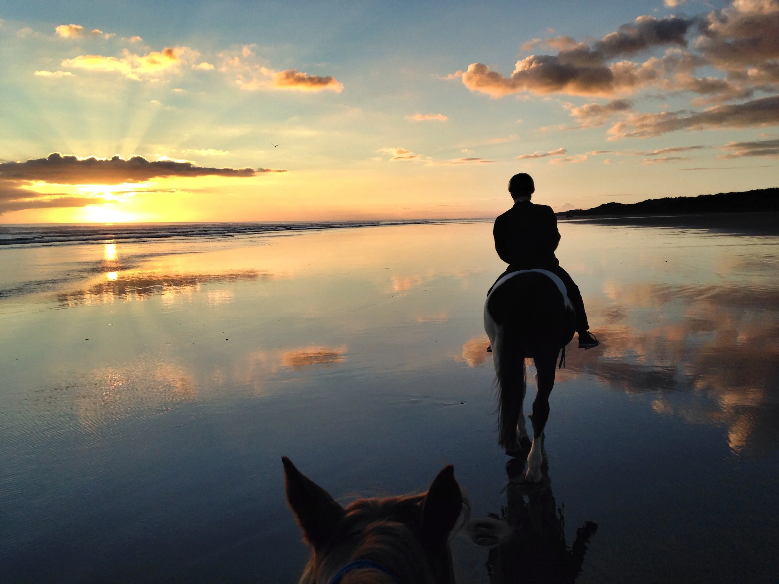  A perfect birthday gift from&nbsp; Andreas Kleiner . Taken&nbsp;at&nbsp; Muriwai Beach &nbsp;in New Zealand. 