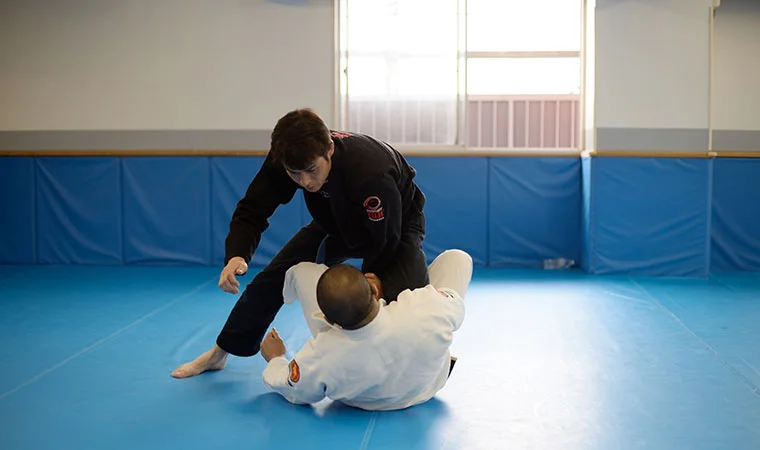 先生たちの趣味　～Hengtee編～