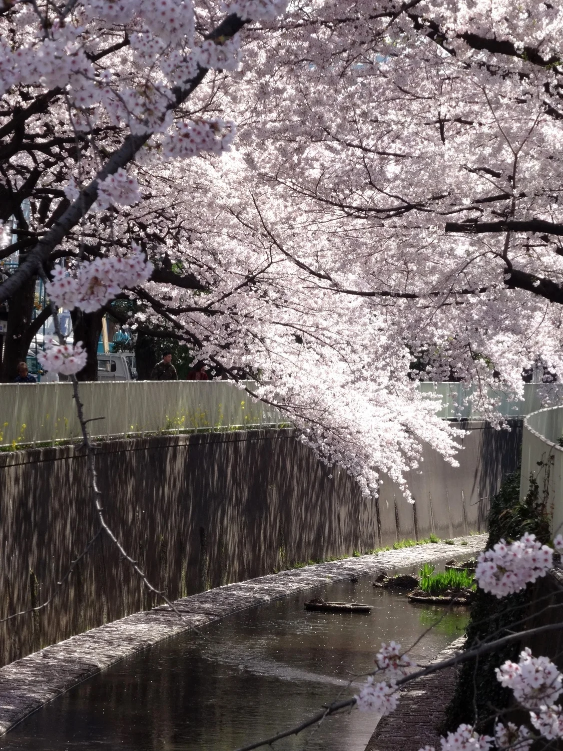 新学期スタート!!