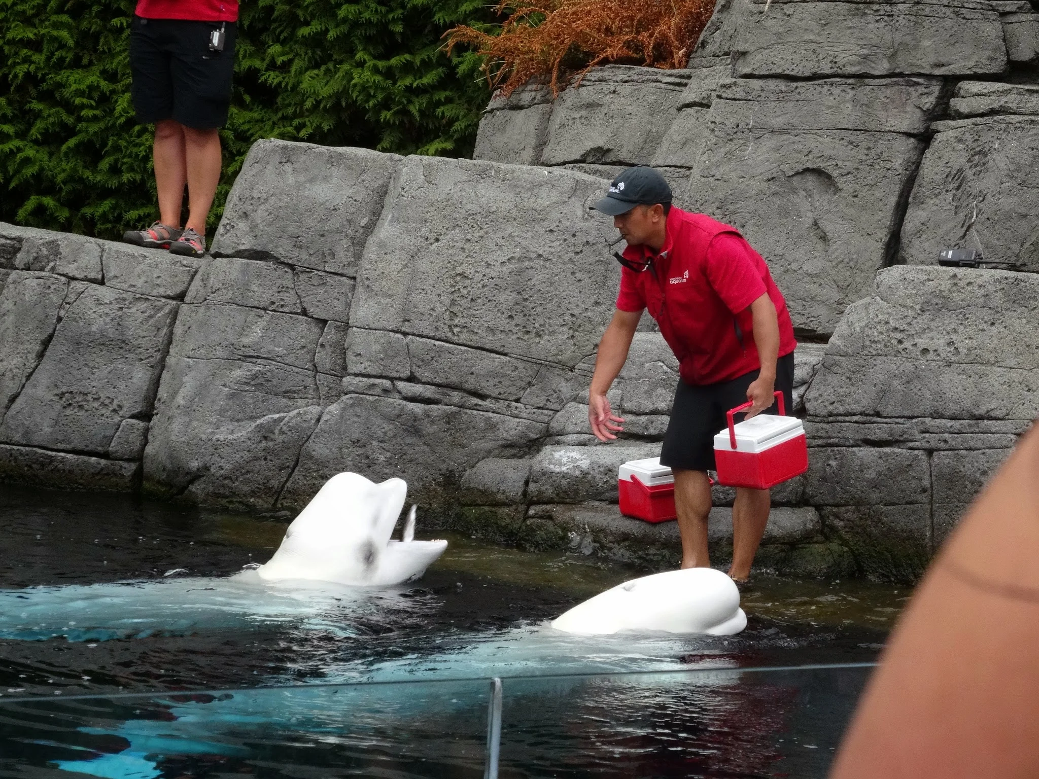 Vancouver Aquarium