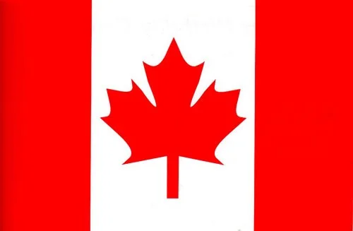 カナダサマープログラム その4