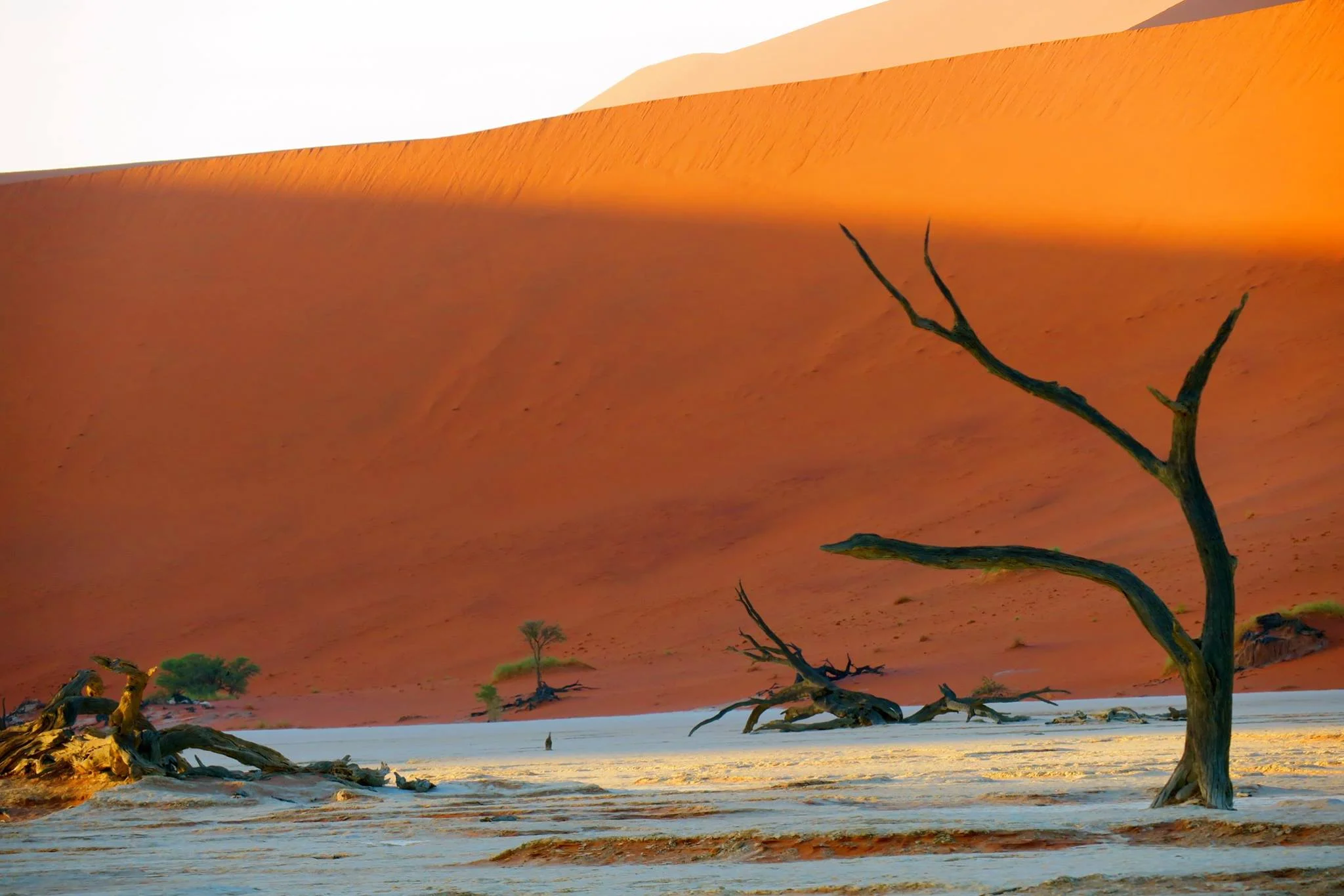 Deadvlei