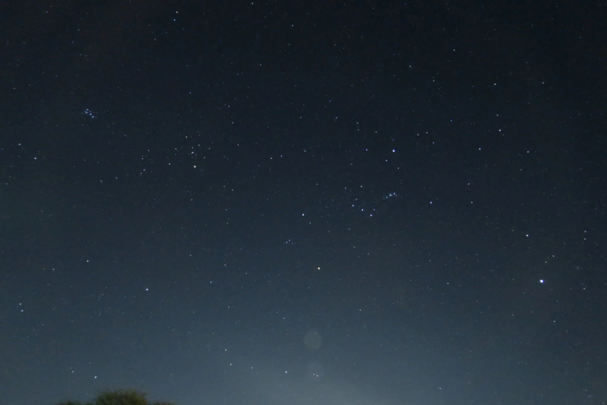 満天の星空。写真ではこれだけですが…実際はものすごい数でした。