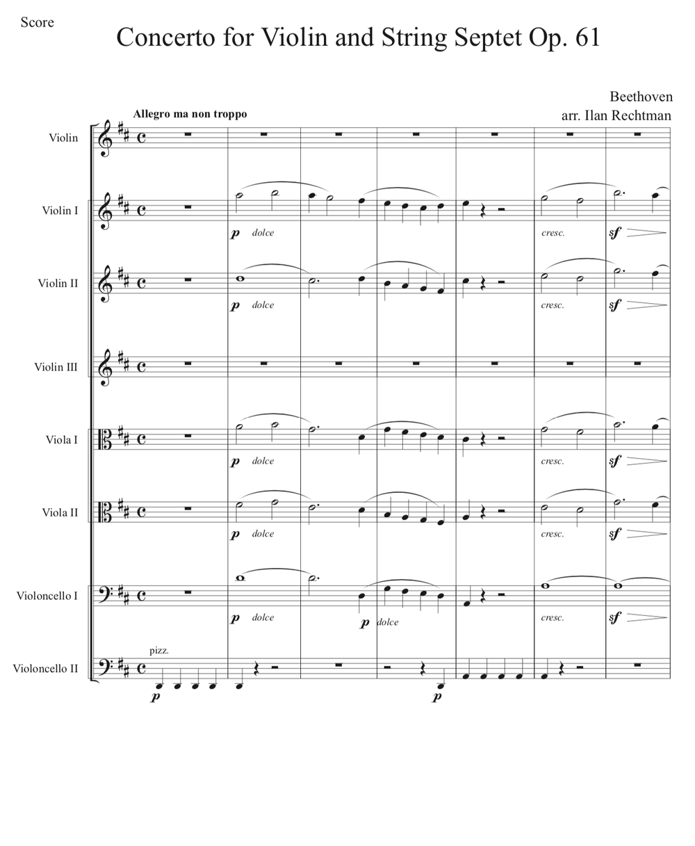 Beethoven Violin Concerto Op. 61 for violin and string septet (3-2