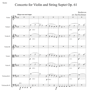 Beethoven Violin Concerto Op. 61 for violin and string septet (3-2