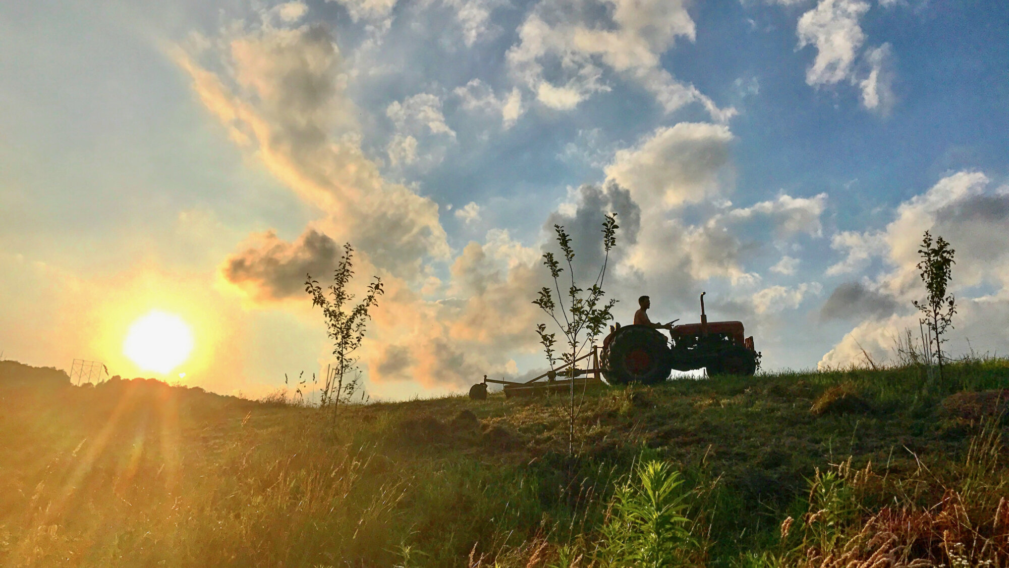dan tractor sunset 16x9.jpg