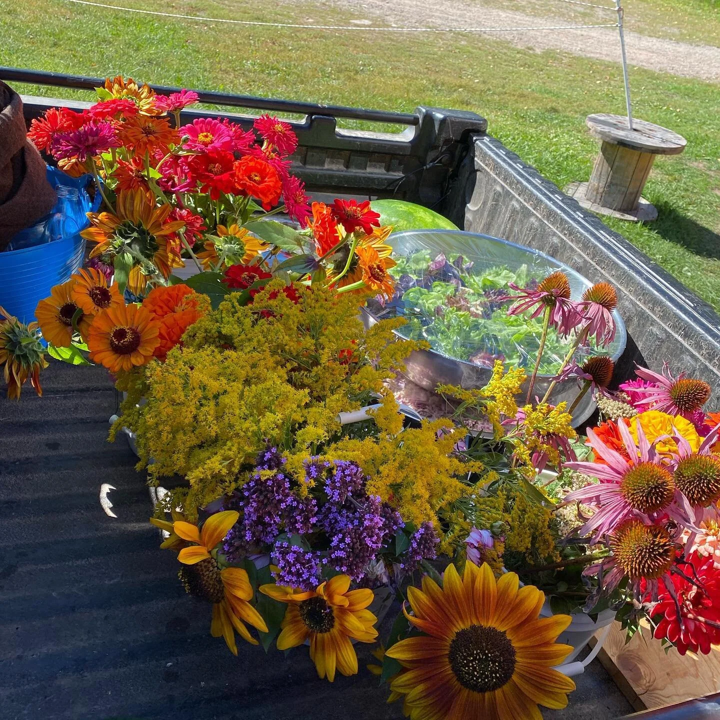 This was the last round of flowers that came from the 2020 garden before the killing frost the next morning. We loved setting the tables every Saturday for our pizza nights! Only 12 more Saturdays until the first PIZZA NIGHT 2021!! #farm #pizza #realfood #summer2021