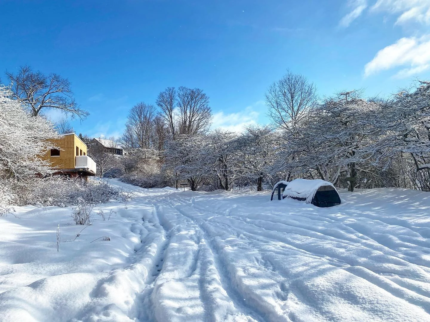 Magical morning out there. Snow sprinkled down in fairy like dust as I walked around to check all of the animals. #farm #winterfarming #farmstay #catskills #waltonny #escape #escapebrooklyn #ediblebrooklyn #eatrealfood