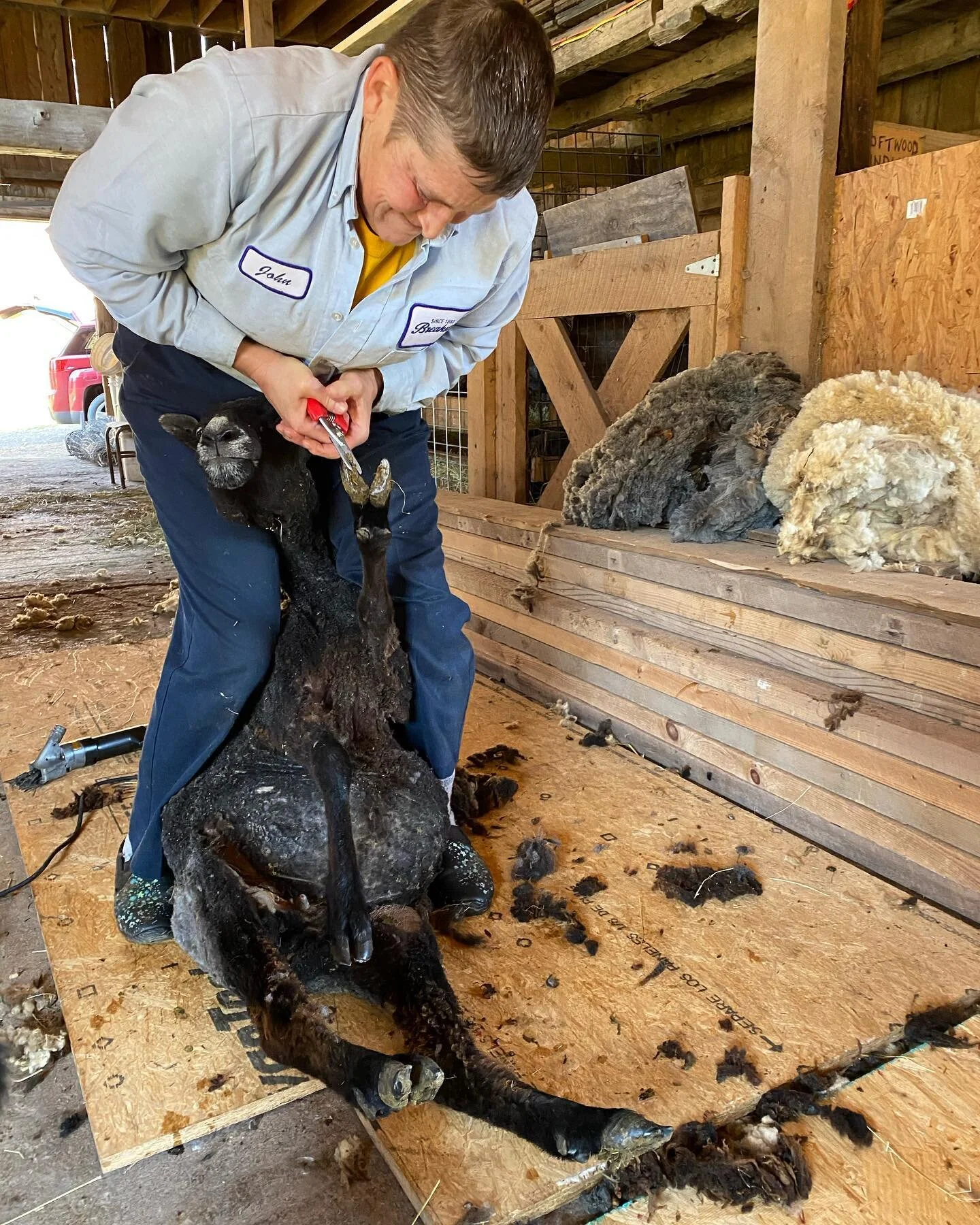 Strength. Love. Kindness. Compassion. Force of nature. Laughter. Teamwork. Inspiration. Dedication. Determination. I see  these in all of you. And. On my good days reflections of you in me.  Why can&rsquo;t Instagram allow more photos!? There are just so many more women I need to thank. #womensupportingwomen #womensday