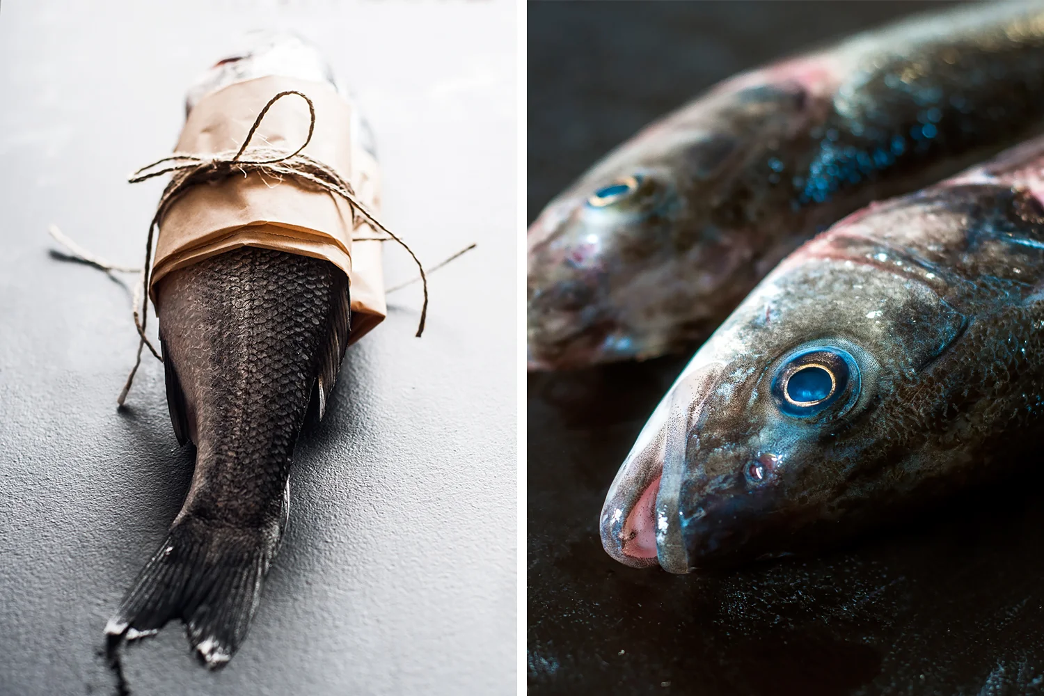 Fresh Seabass