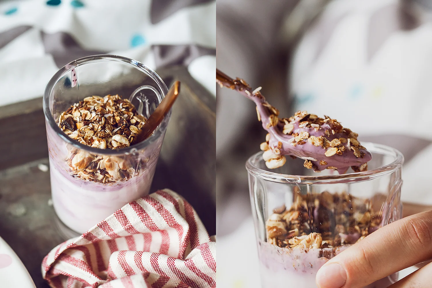 Greek Yogurt with Blueberries and Homemade Granola
