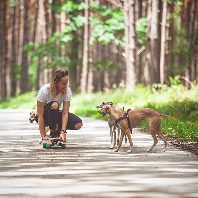 🌲Ver&iacute;me, že si leto už&iacute;vate pln&yacute;mi d&uacute;&scaron;kami minim&aacute;lne tak ako my! S&iacute;ce sme ani labky nevytiahli &ldquo;z domu&rdquo; nakoľko br&aacute;zdime okolit&eacute; lesy, l&uacute;ky, h&aacute;je &amp; asfaltky