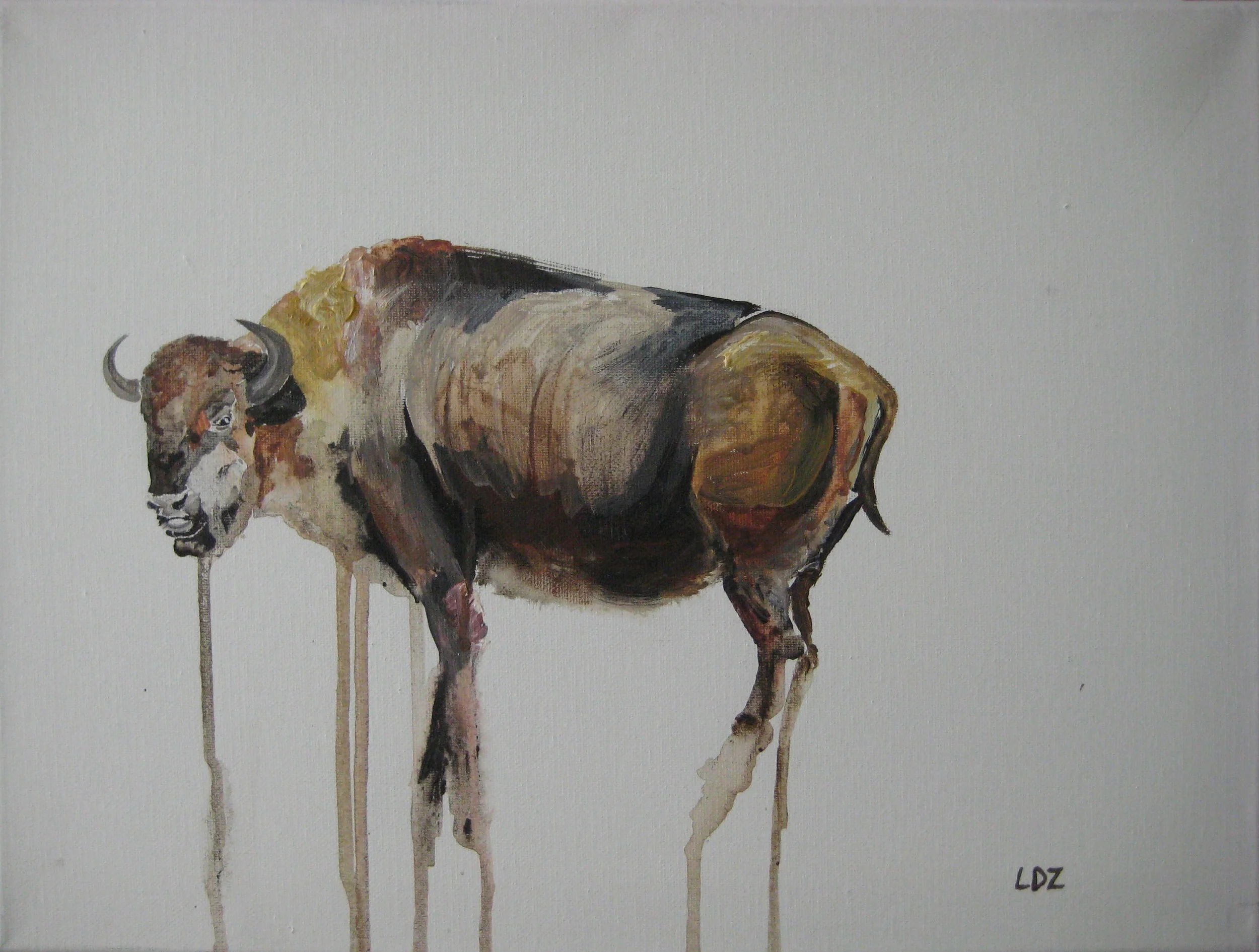 Drip Buffalo  12 x 16