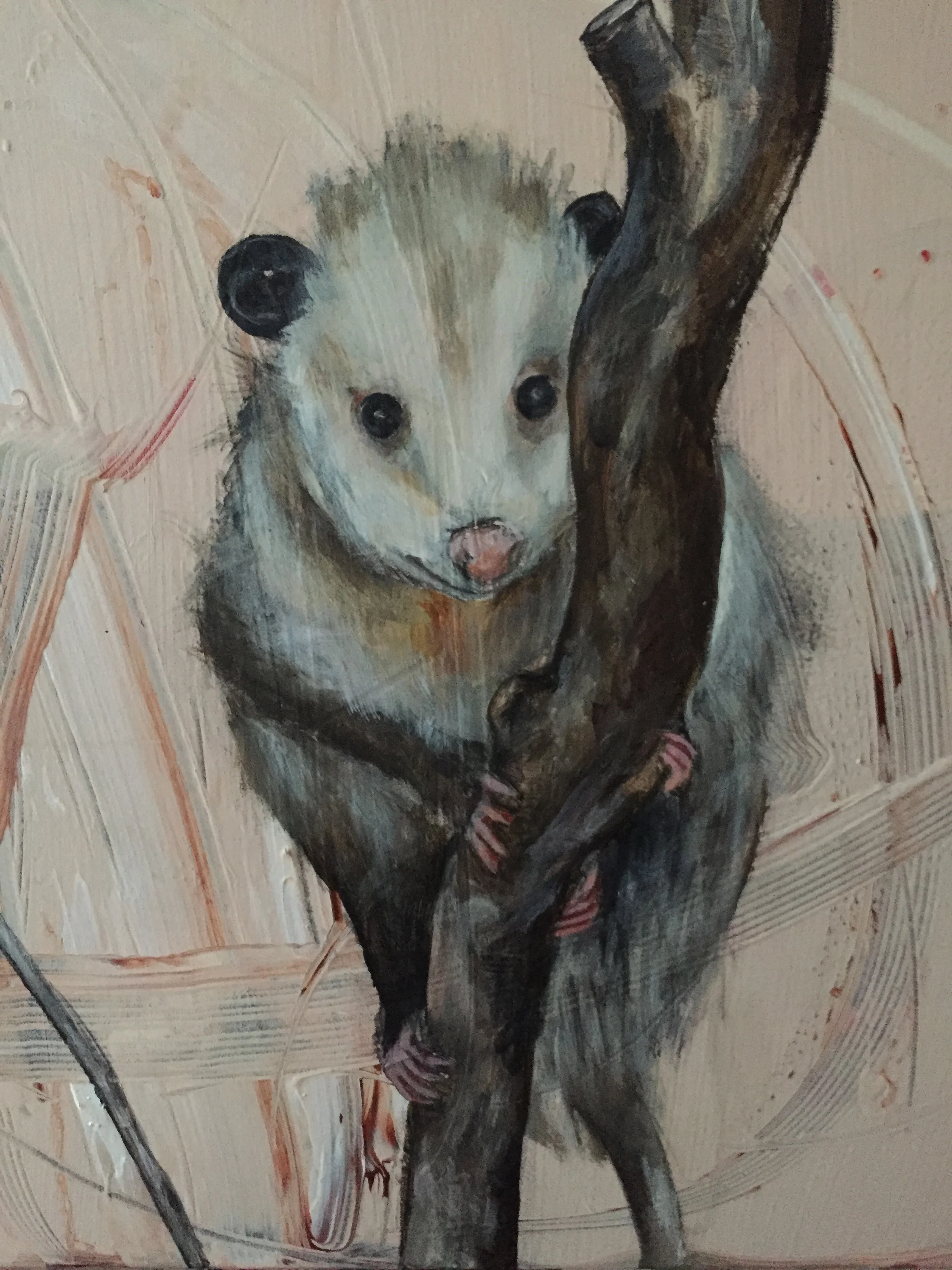 Opossum (sold)