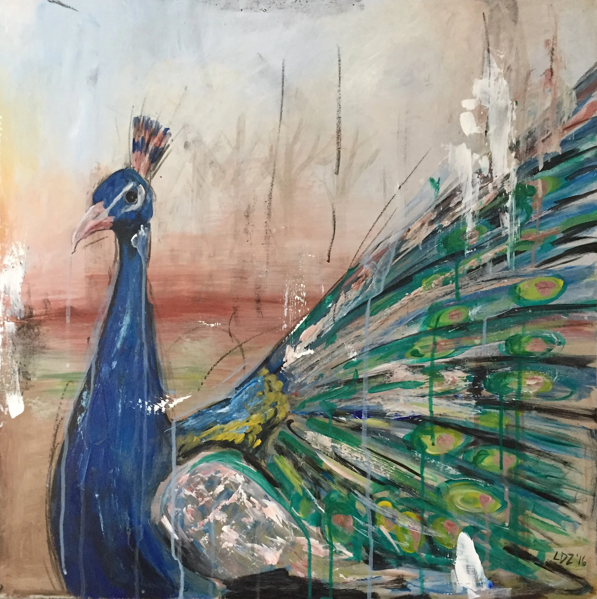 Peacock Study 24 x 24.5
