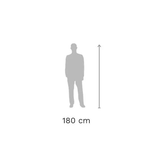 reference.jpg