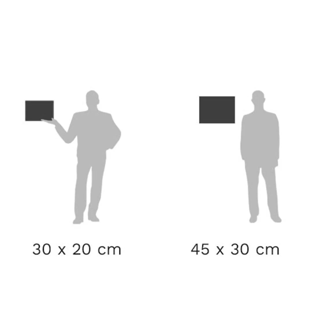 2x3.jpg