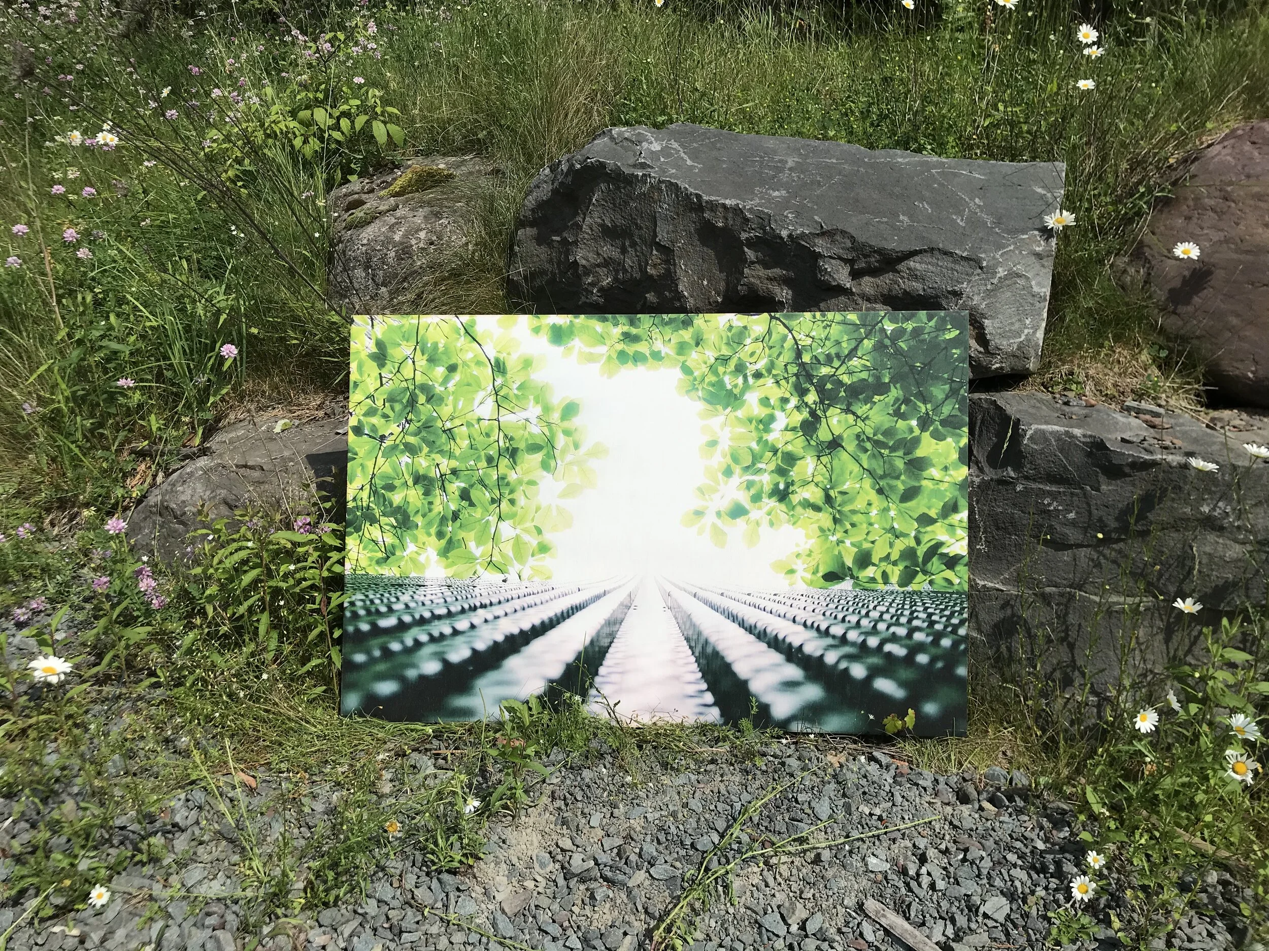 Photo Jun 29, 10 12 29 AM.jpeg