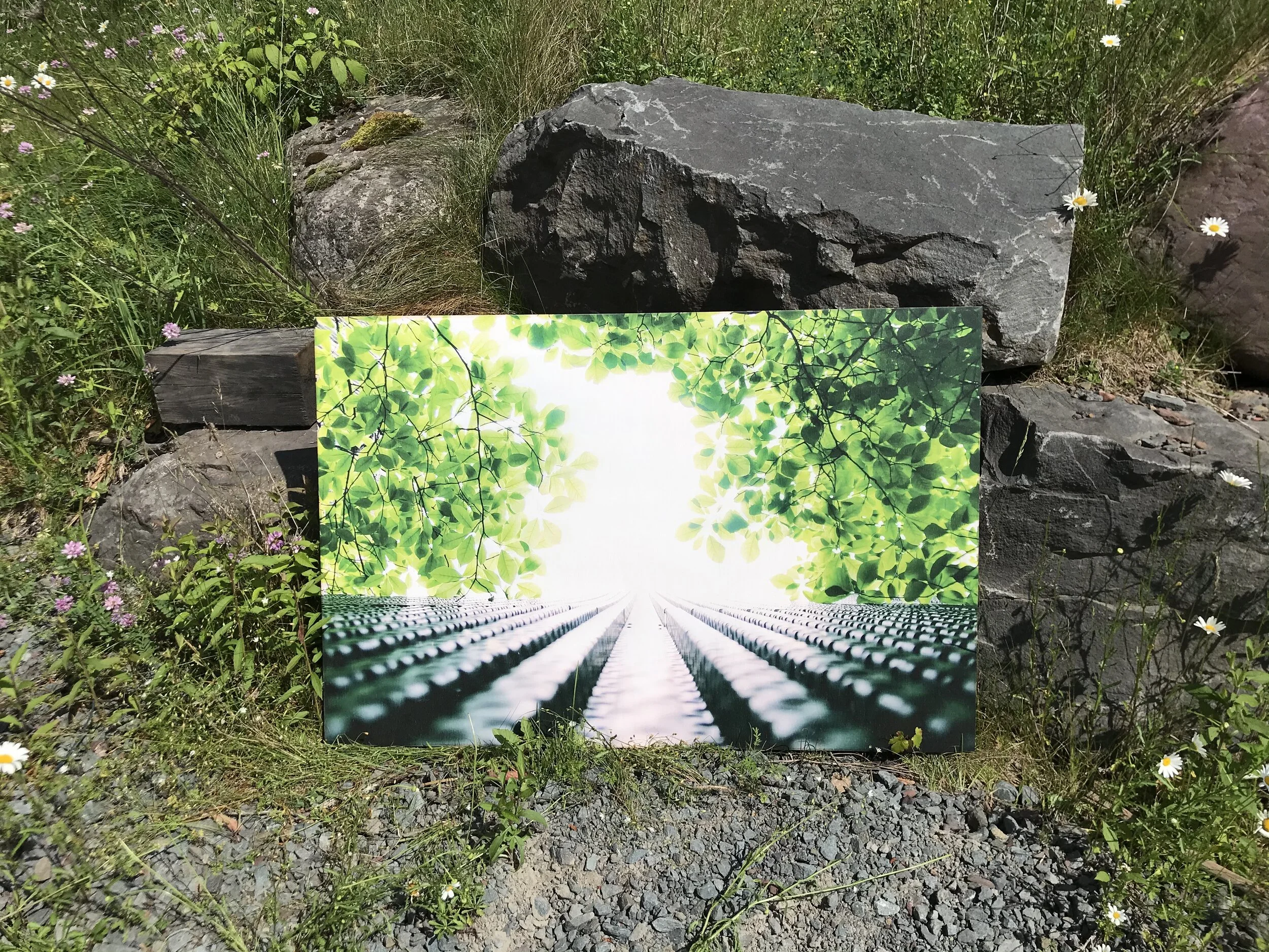 Photo Jun 29, 10 12 10 AM.jpeg