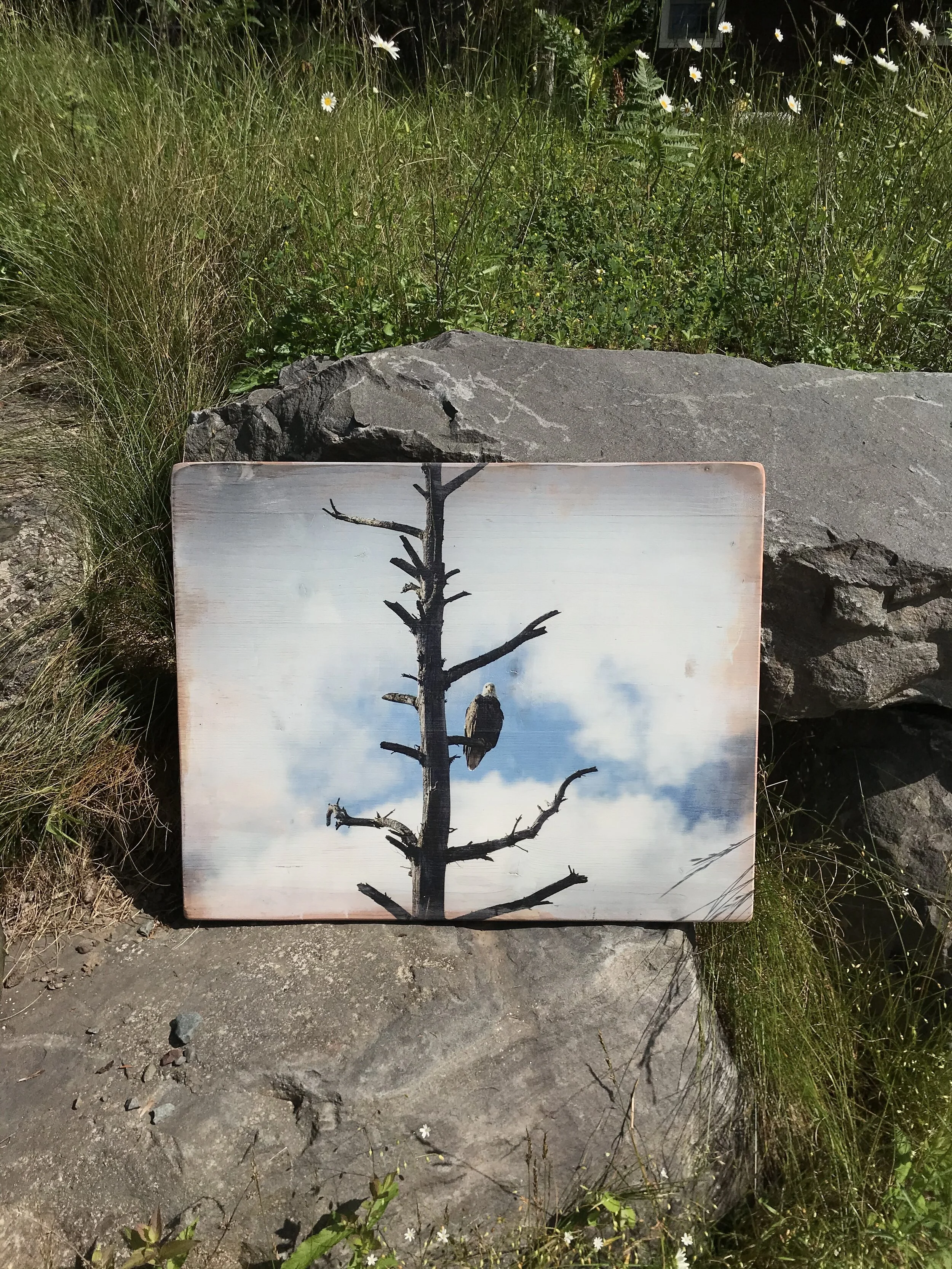 Photo Jun 29, 10 03 48 AM.jpeg