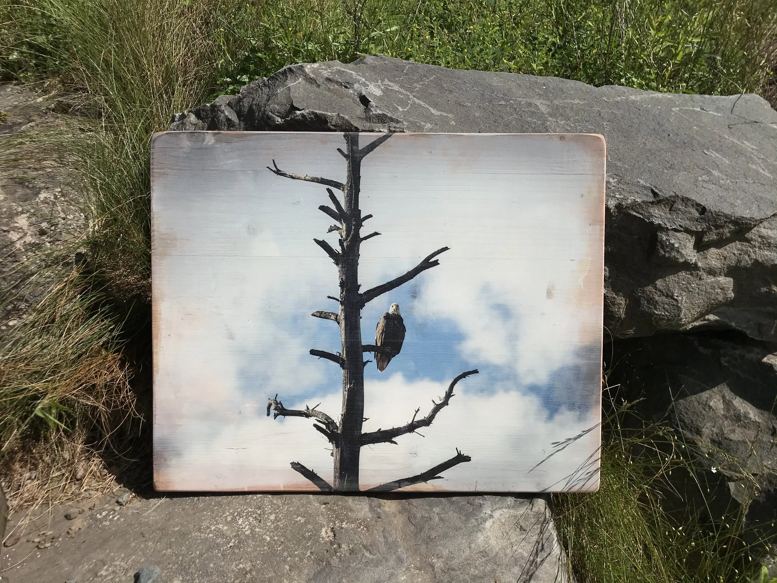 Photo Jun 29, 10 03 41 AM.jpeg