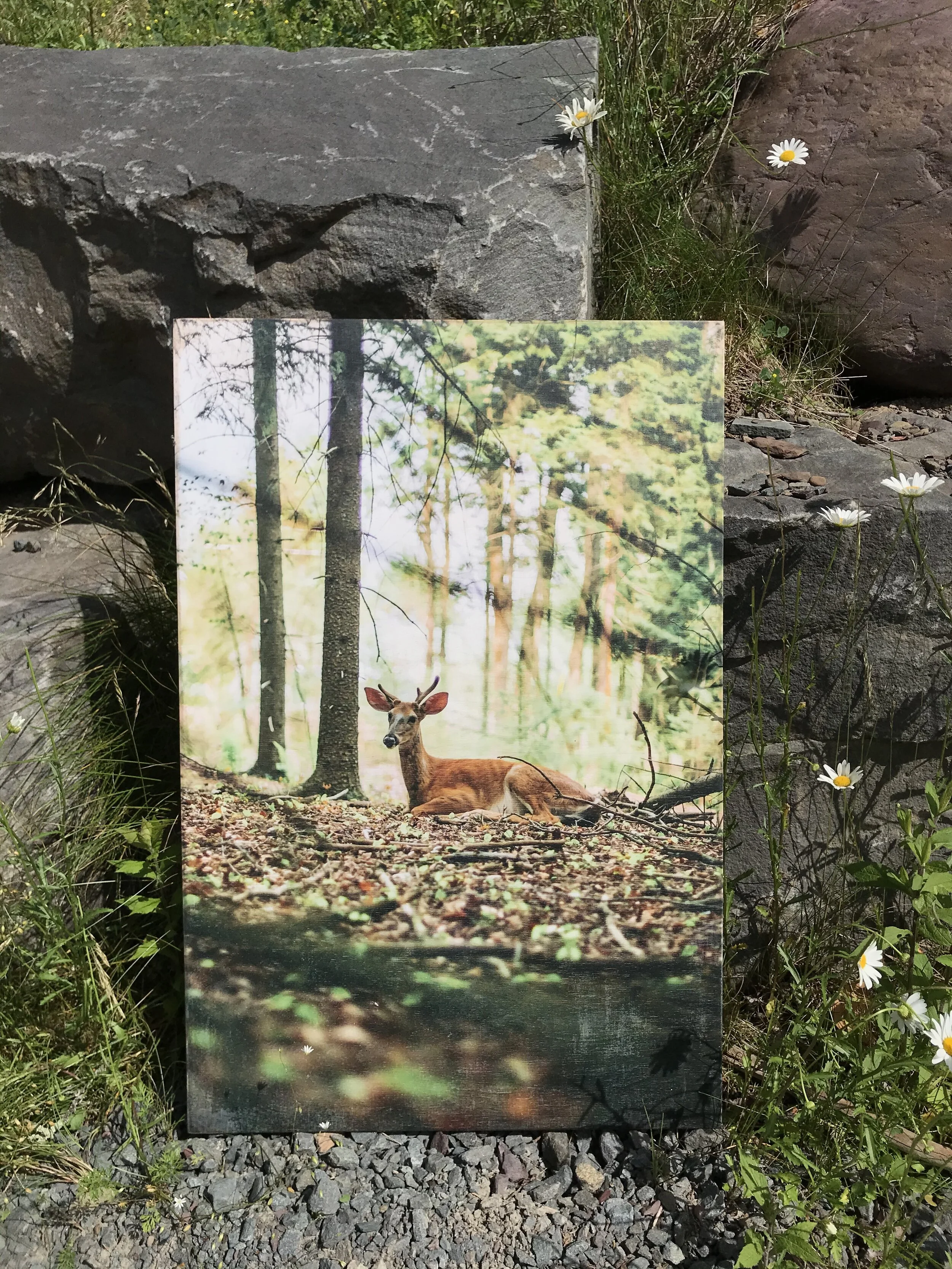 Photo Jun 29, 10 02 34 AM.jpeg