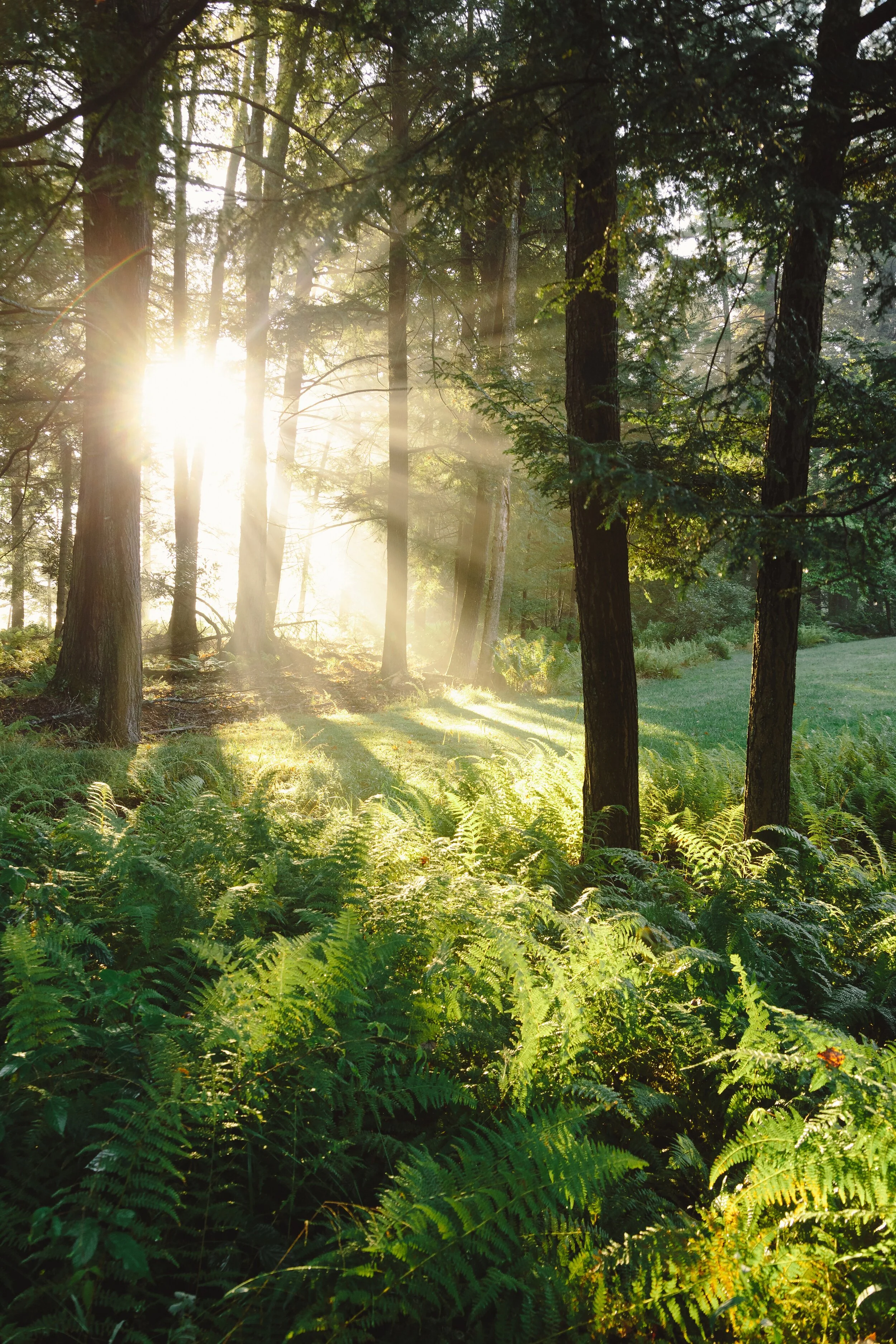 Threaded Needle.jpeg