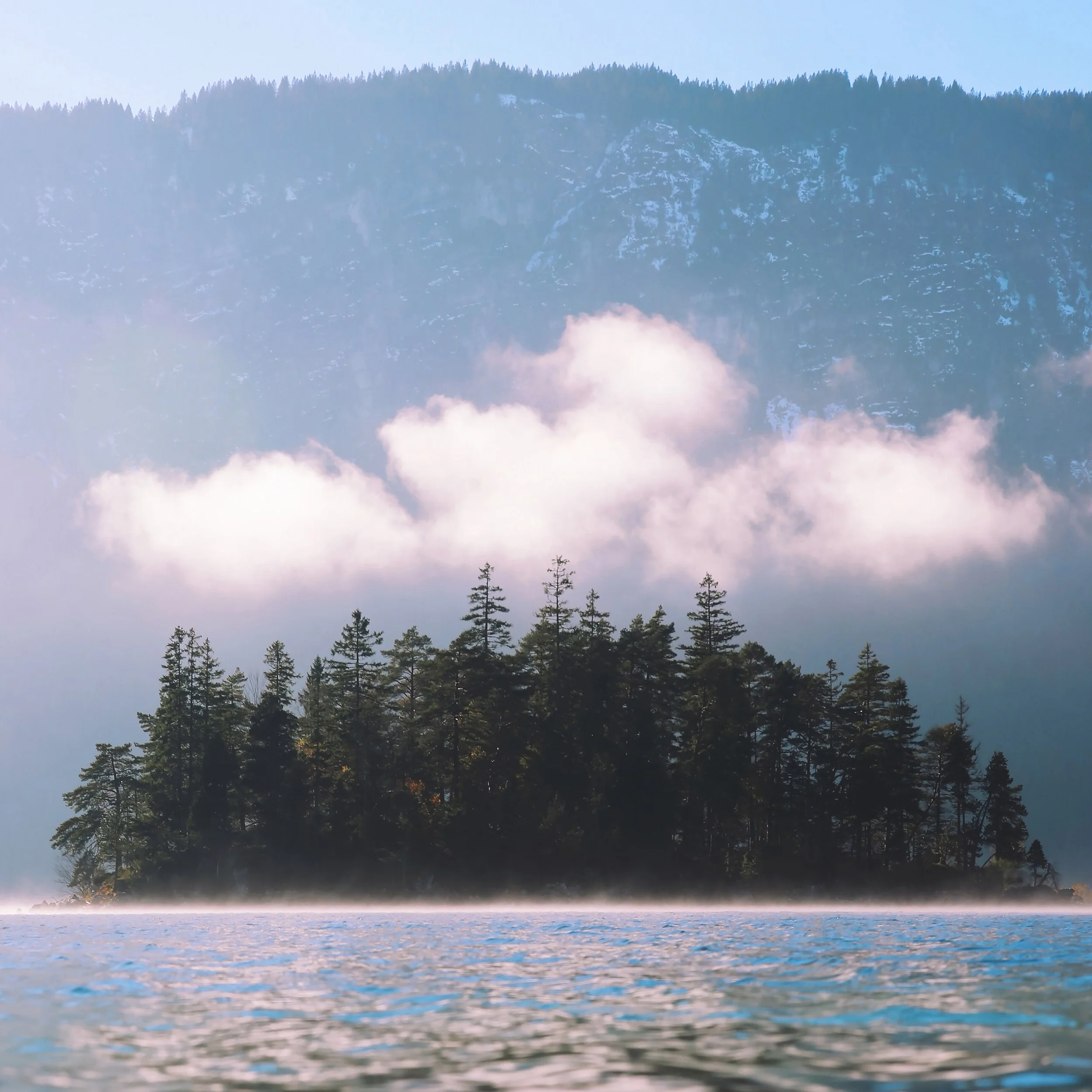 PARADISE.jpeg