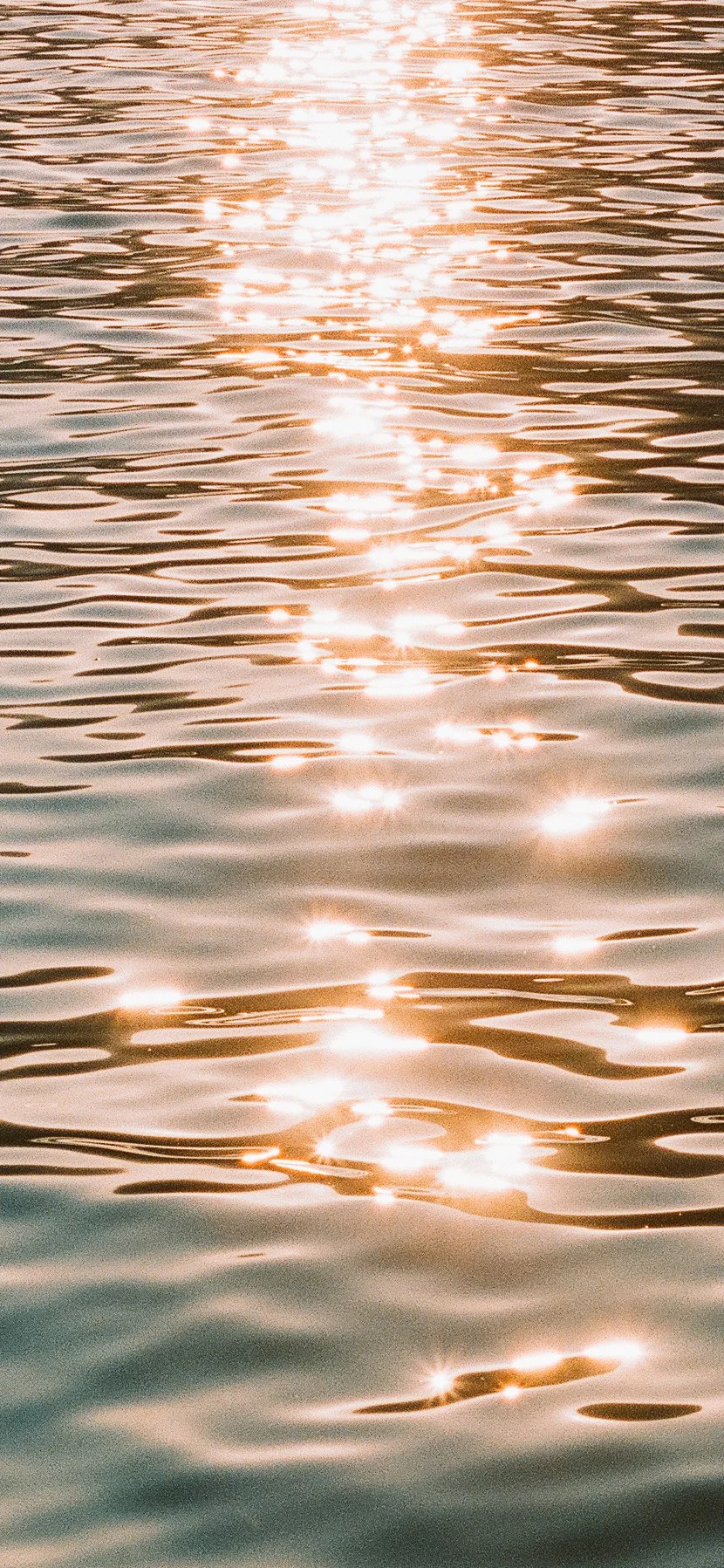DETAIL-2.JPG