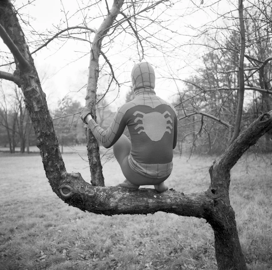 Matt Sitting in the Tree in His Spiderman Suit