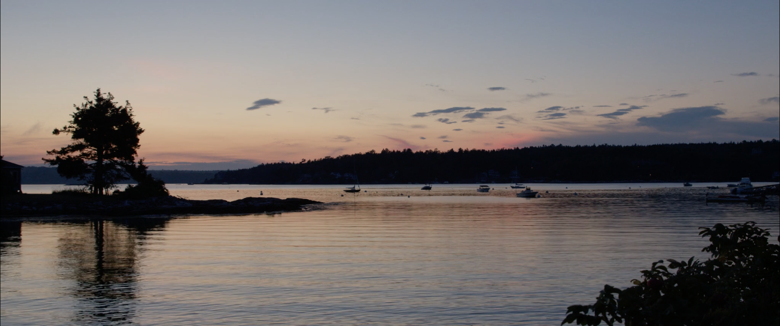 Screen Shot 2022-09-30 at 9.05.33 AM.png