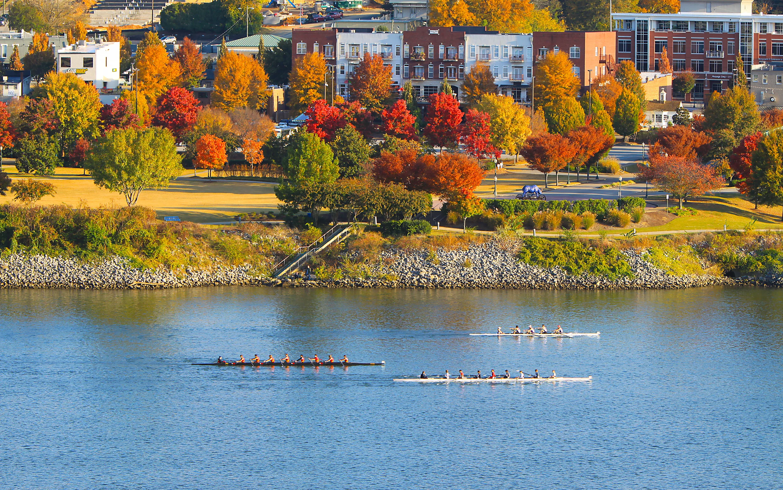 Regatta - Smaller.jpg