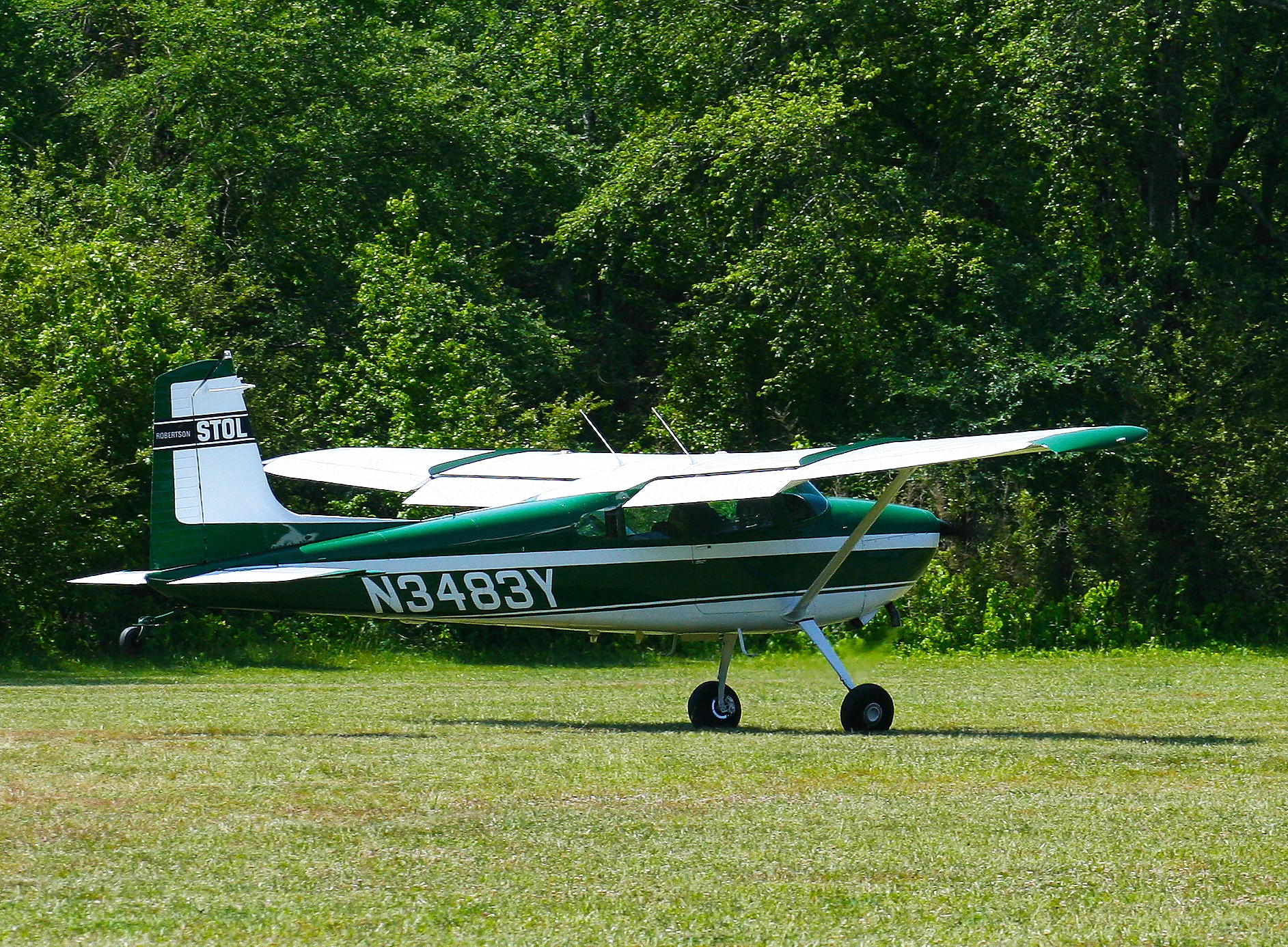 Cessna Taildragger Takeoff.jpg