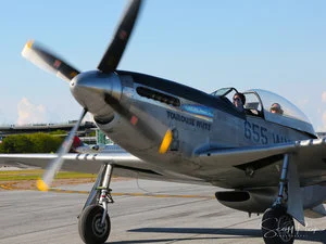 P51+D+2+Logo.jpg